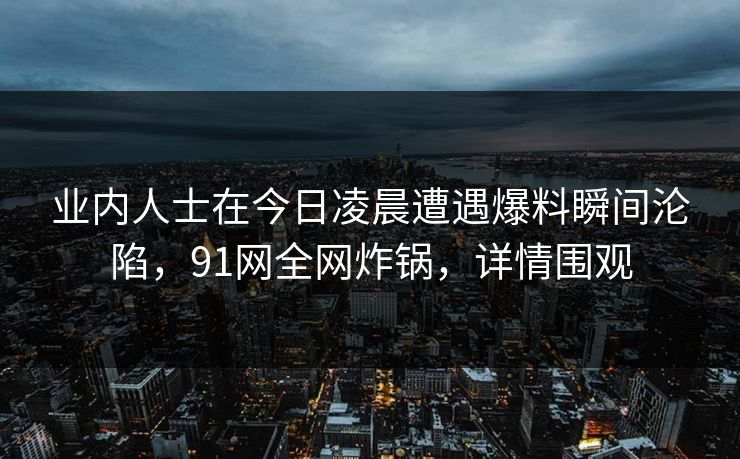 业内人士在今日凌晨遭遇爆料瞬间沦陷，91网全网炸锅，详情围观