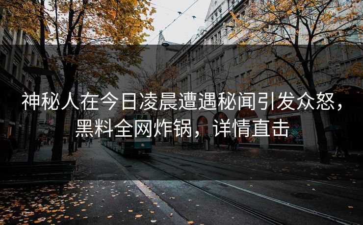 神秘人在今日凌晨遭遇秘闻引发众怒，黑料全网炸锅，详情直击